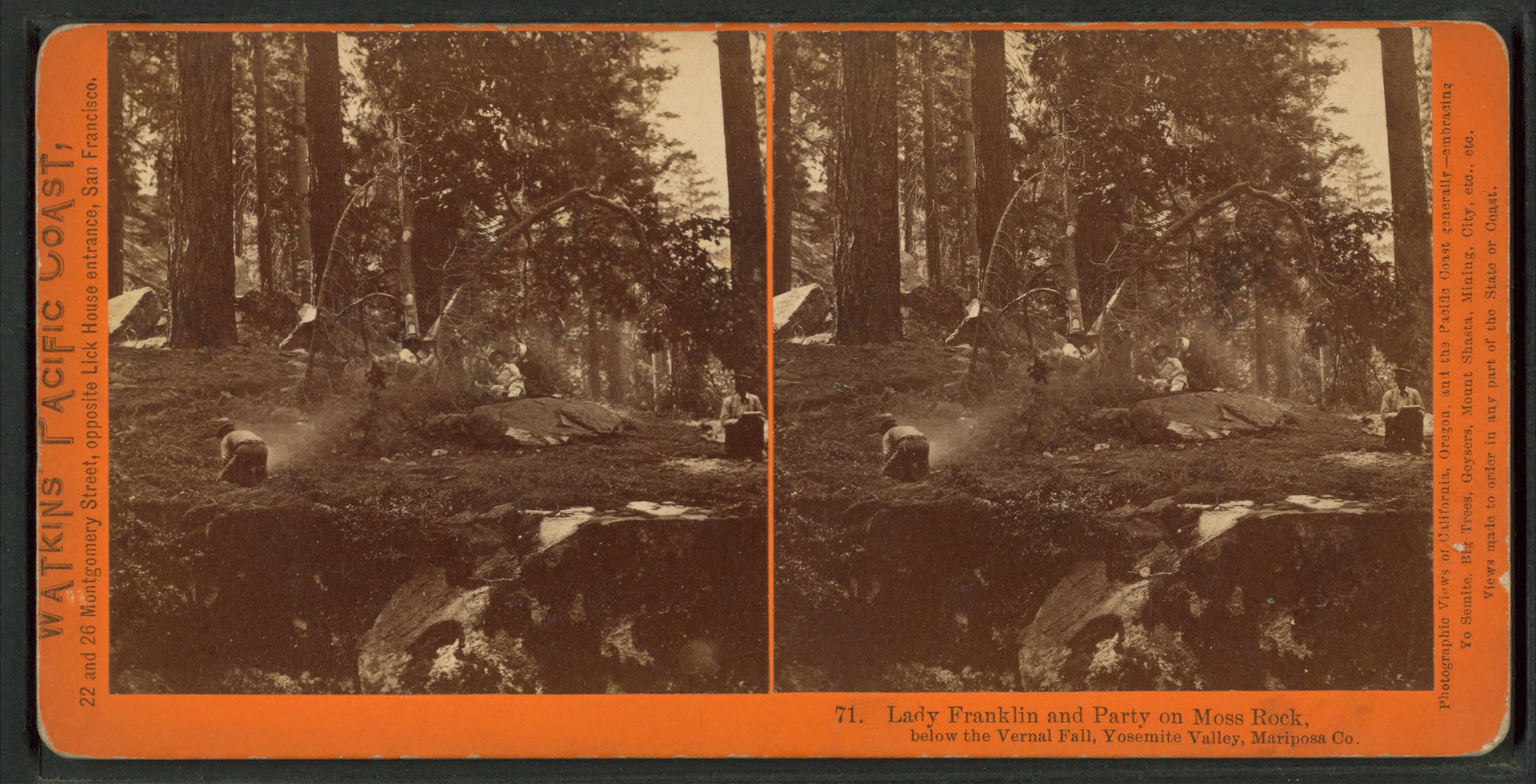 Portrait of Lady Franklin - A Visit to America
